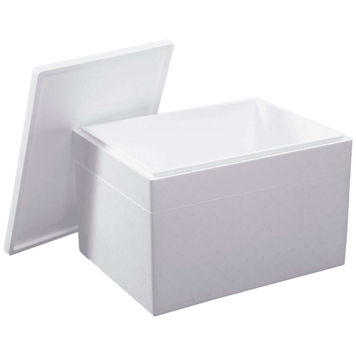 THERMOCON SP30 EPS insulated shipper
