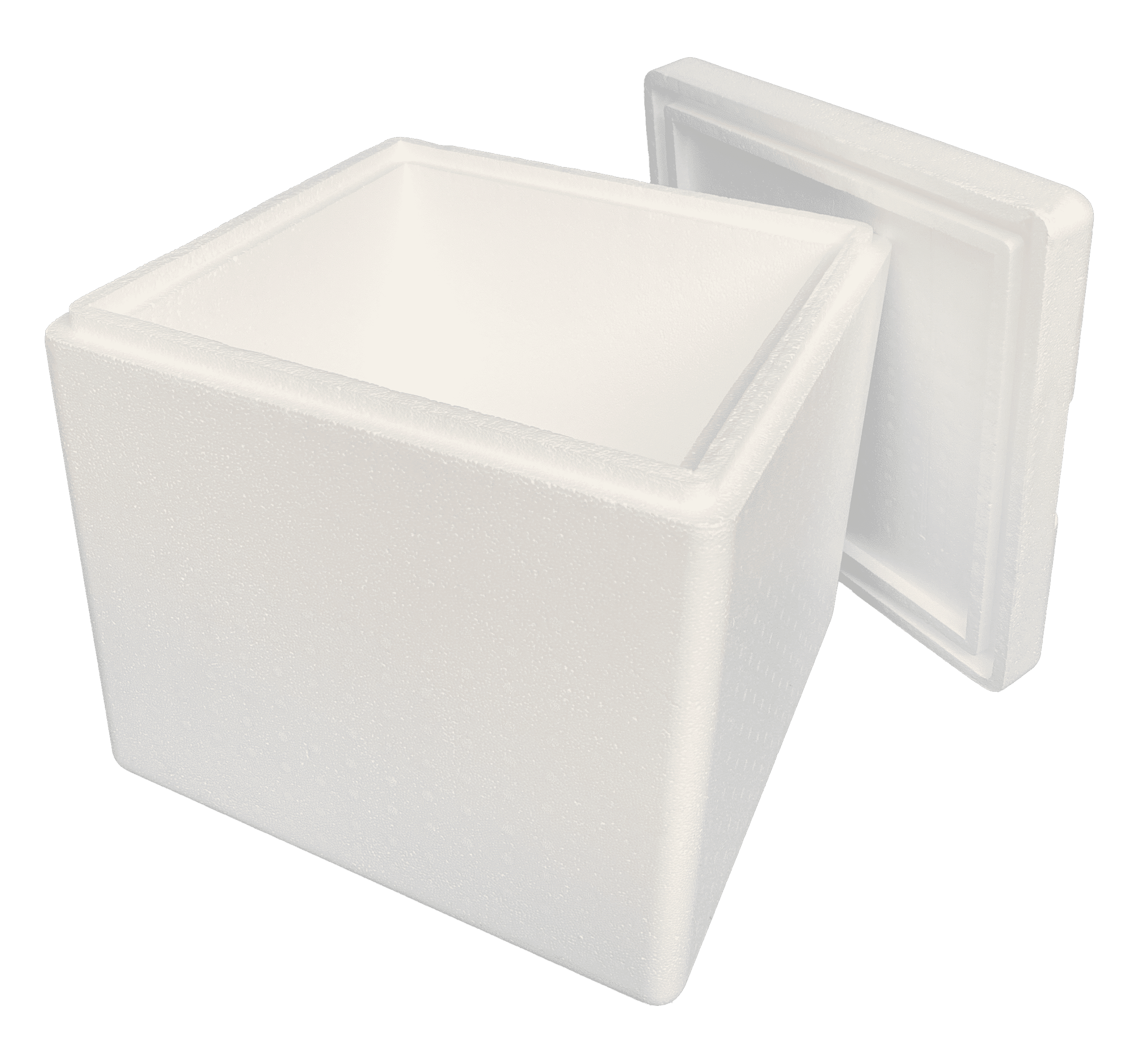 THERMOCON SP20 EPS insulated shipper with lid