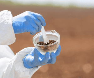 Water and soil samples